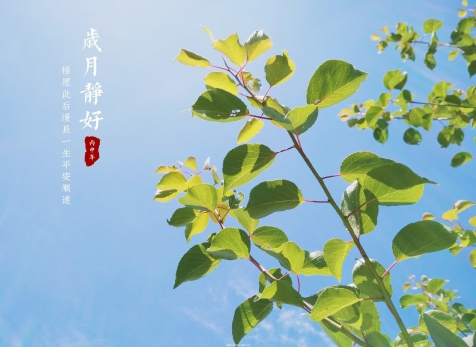愿歲月靜好，山河無恙